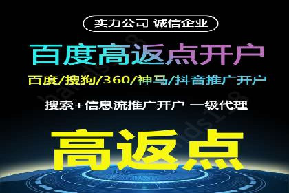 成功案例解析：SEO与SEM协同营销策略